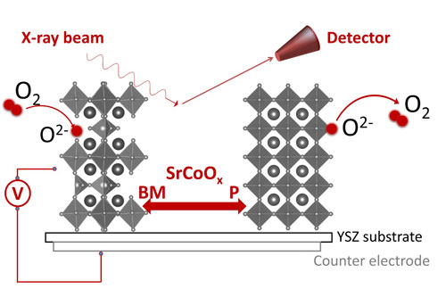 This diagram shows how an electrical voltage can be used to modify the oxygen concentration, and therefore the phase and structure, of strontium cobaltites