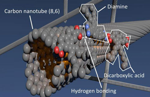 Polymer Grows on Nanotube Surface