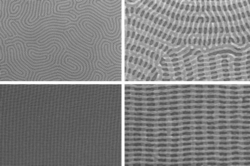 nanomesh bilayer of PDMS cylinders