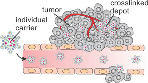 trapping drugs inside a tumor
