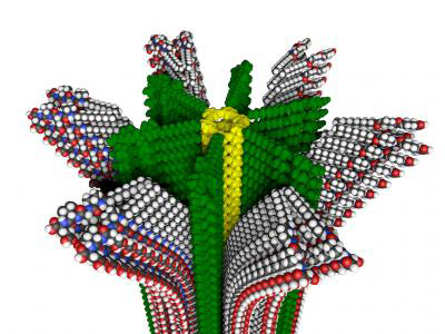 Hybrid Polymer