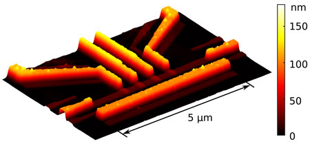Atomic-force microscope image of resistor
