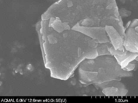 molybdenum disulfide nanosheets