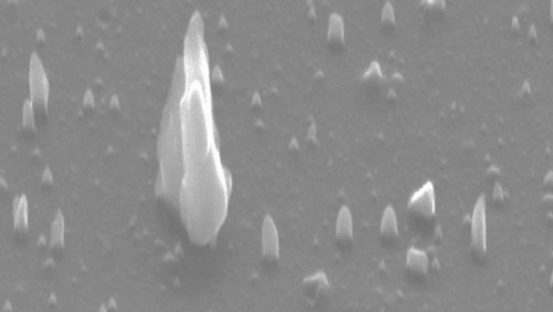 Scanning electron micrograph of c-BN nanoneedles and microneedles up to three microns in length