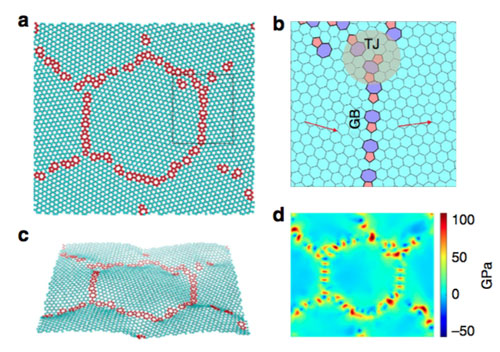 Polycrystalline graphene contains inherent nanoscale line and point defects