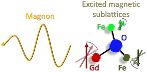 Sketch of the thermal excitation of the magnetic sublattices, consisting of two Iron (Fe) and one Gadolinium (Gd) lattice sides