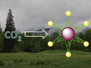 Carbon dioxide is a useful feedstock gas for synthesis of complex, functional materials