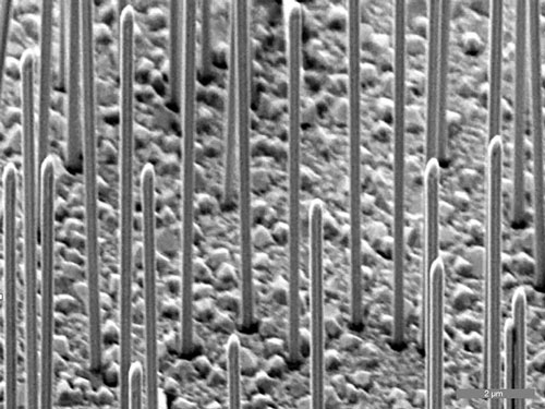 Gallium arsenide nanowires on a silicon surface