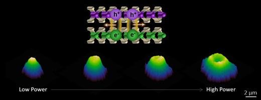 An illustration of the strong valley exciton interactions and transport in a 2-D semiconductor heterostructure