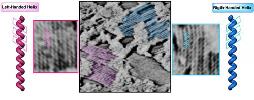 AFM image of polymer monolayer, showing left- and right-handed helical fields