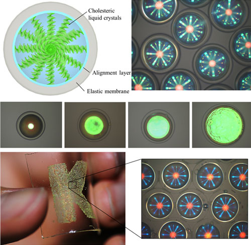 Composition of photonic microcapsules