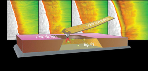 Nondestructive Nanoscale Imaging in Liquids
