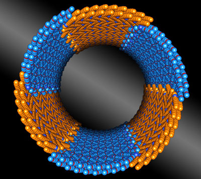 nanotube