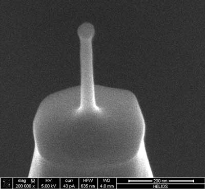  Scanning electron microscope image of a CDR50 type CD-AFM tip