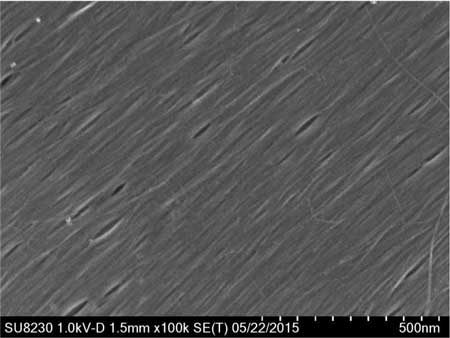 A scanning electron microscope image shows highly aligned and closely packed carbon nanotubes