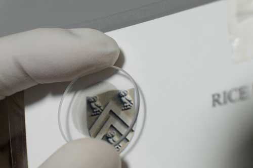 highly aligned nanotube films
