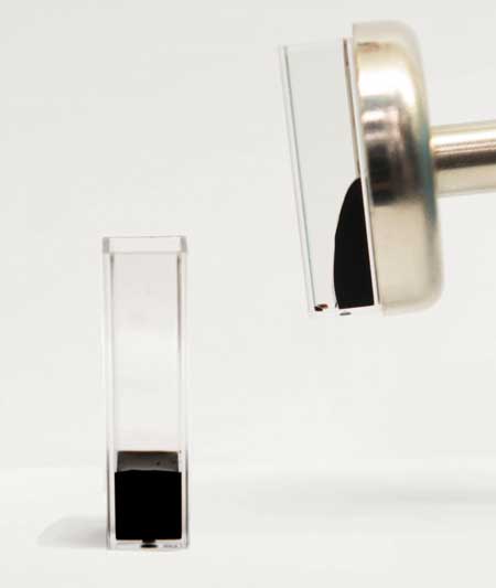 Self-Stabilizing Magnetic Colloid