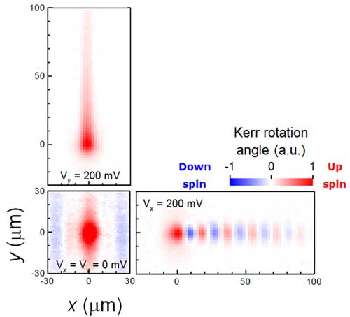 Spatial distribution of electron spins in a specially designed semiconductor quantum well