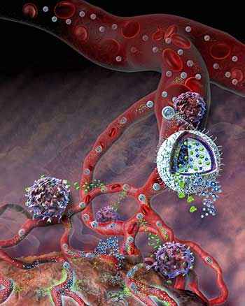 A cutaway illustration of a nanogel