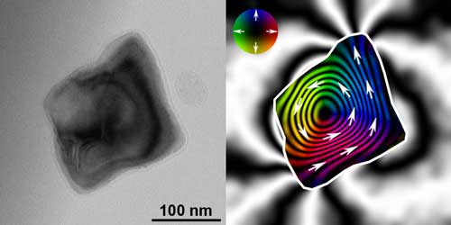 lectron microscopy image of a magnetite nanocrystal (left) and the magnetic vortex structure (right)