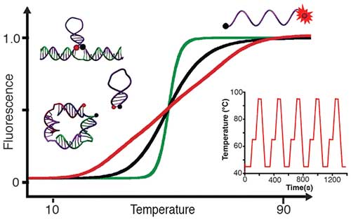 Programmable Quantitative DNA Nanothermometers