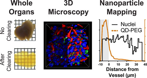nanoparticle mapping