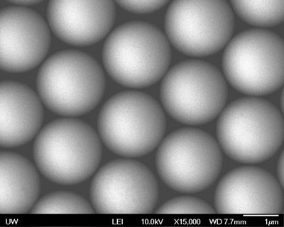 Microscale Granular Crystals Dynamics -- SEM