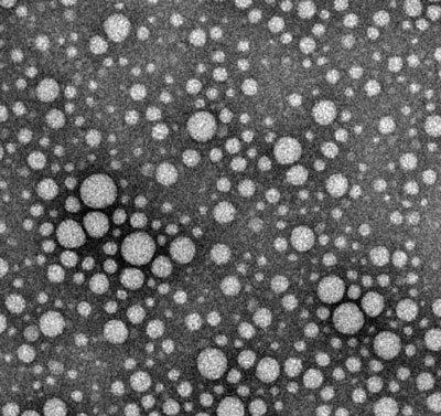 drug nanoparticles