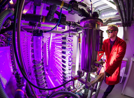 violet lighting of a photobioreactor