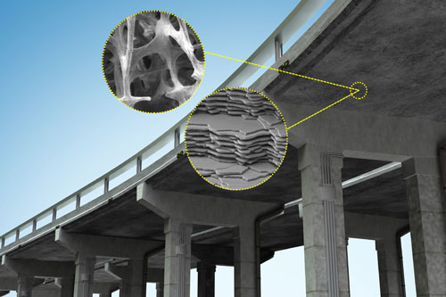 bioinspired formula for concrete