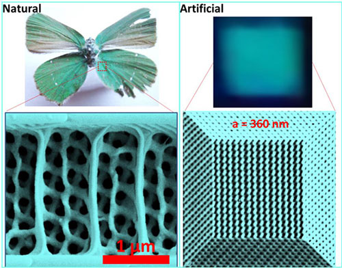Comparison of natural gyroid structure with artificial structure