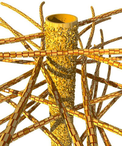 tubules and mineral nanoparticles embedded in a network of collagen fibers
