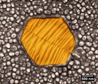 isolated and wrinkled hexagonal graphene grain supported on copper