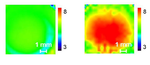 2D imaging plots of absorbance intensity ratios
