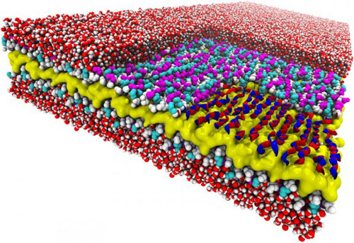atomic-resolution simulation of a peptoid nanosheet