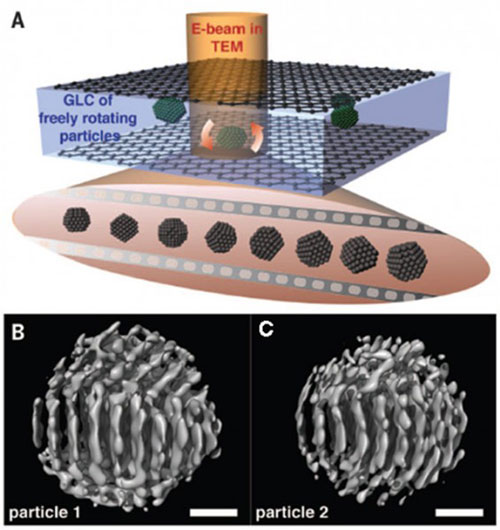 In situ transmission electron microscopy (TEM) imaging of platinum nanoparticles rotating freely in liquid