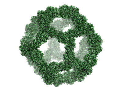 Icosahedral Protein Nanocage Design