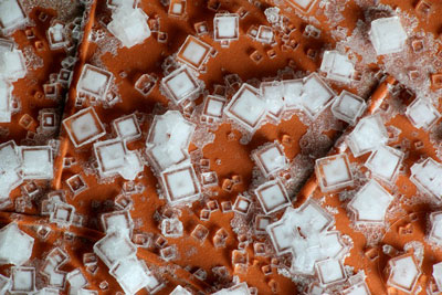 Table salt crystals