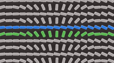 Two arrays of titanium oxide nanofins, scale bar 600 nm