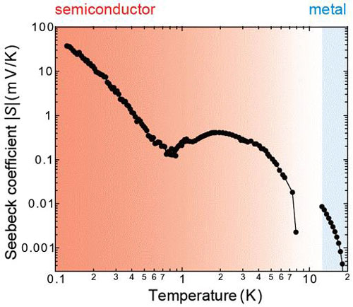 Temperature dependence of the magnitude of the Seebeck coefficient for the organic semiconductor