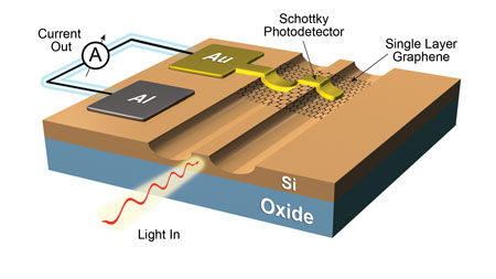 Graphene based Schottky photodetector device