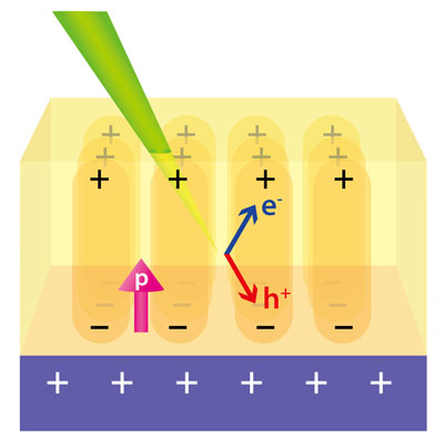 A schematic depiction of a spontaneously polarized solar cell