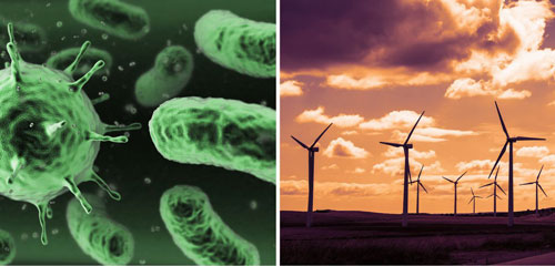 Scientists simulate tiny bacteria-powered windfarm