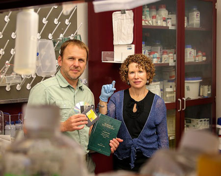 Sandia National Laboratories bioengineers Marlene and George Bachand