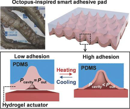 Octopus-Inspired Smart Adhesive Pad