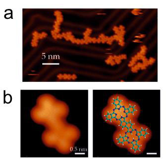STM image displaying the formation of quasi-unidimensional polymers