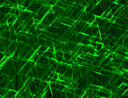 two-dimensional network of hexagonally-patterned nanoribbons
