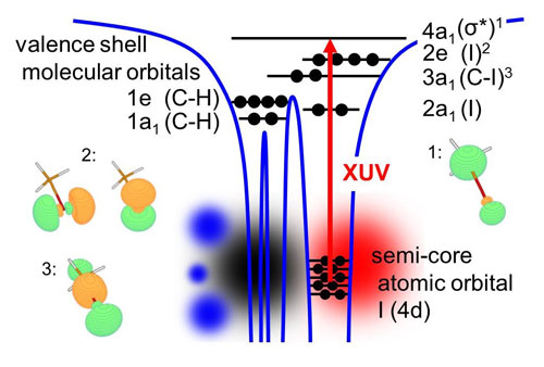 XUV absorption from the core shell to vacancies in the valence shell are element specific and sensitive to the local chemical environment around the reporter atom