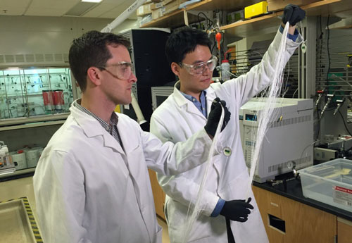 Georgia Tech Assistant Professor Ryan Lively (left) and Postdoctoral Fellow Dong-Yeun Koh hold bundles of hollow polymer fibers