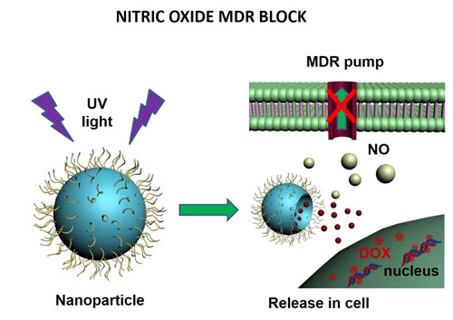 UV activated nanoparticle releases nitric oxide to block MDR pump